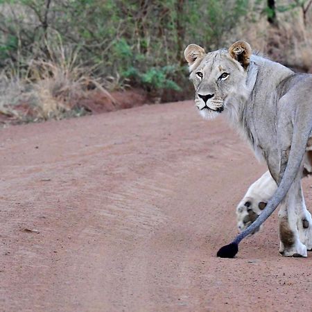 Tented Adventures Pilanesberg Exterior photo