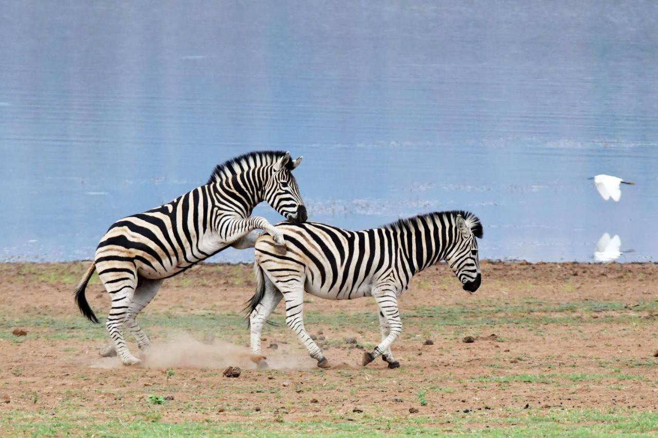 Tented Adventures Pilanesberg Exterior photo